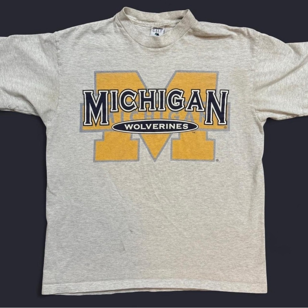 Gray Michigan Wolverines T-Shirt
